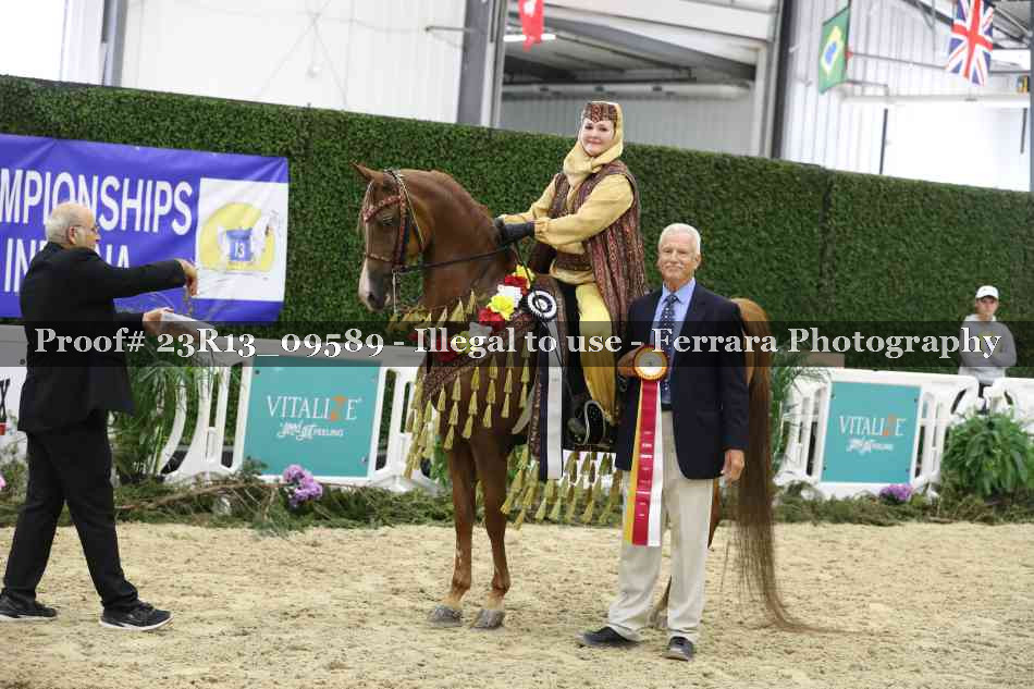 Proof 23R13_09589