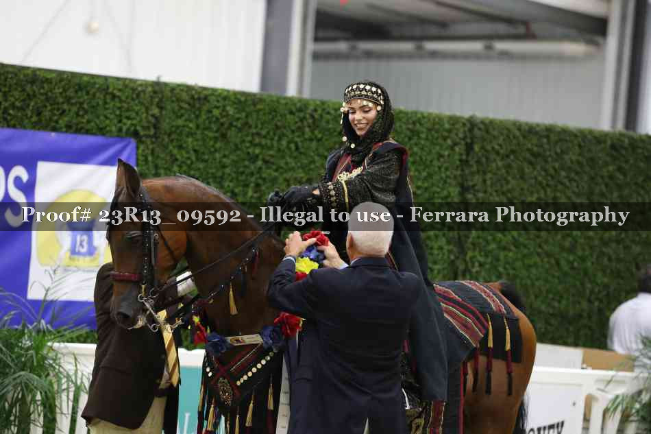 Proof 23R13_09592