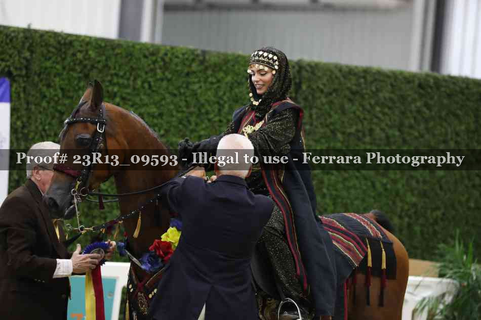 Proof 23R13_09593