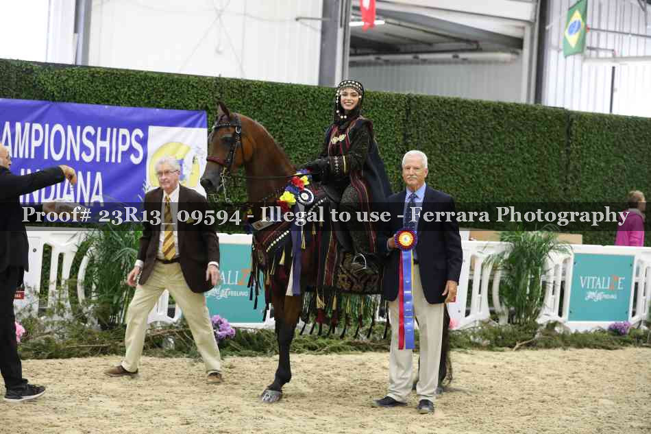 Proof 23R13_09594