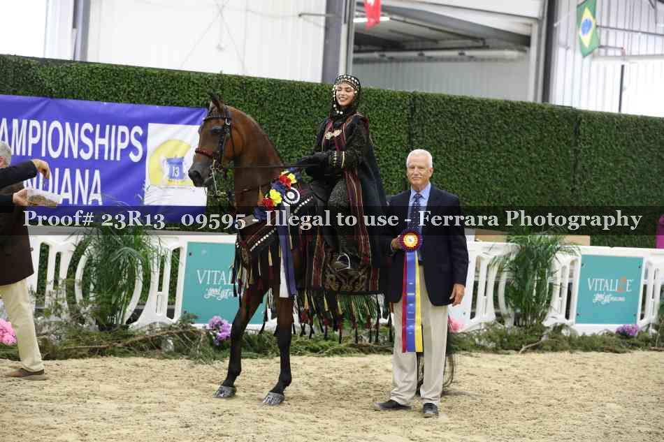 Proof 23R13_09595