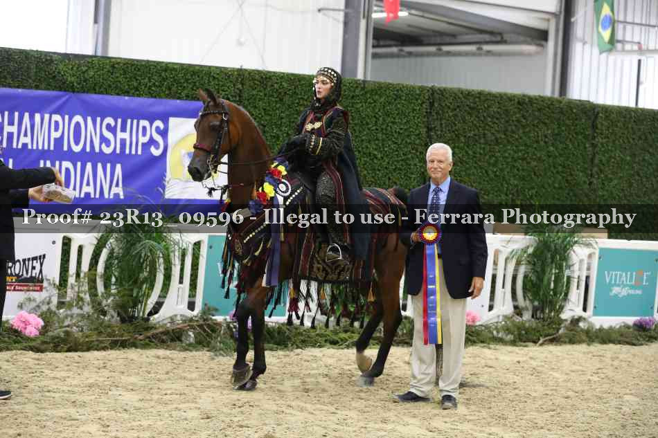 Proof 23R13_09596