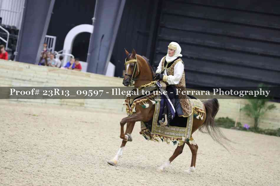 Proof 23R13_09597