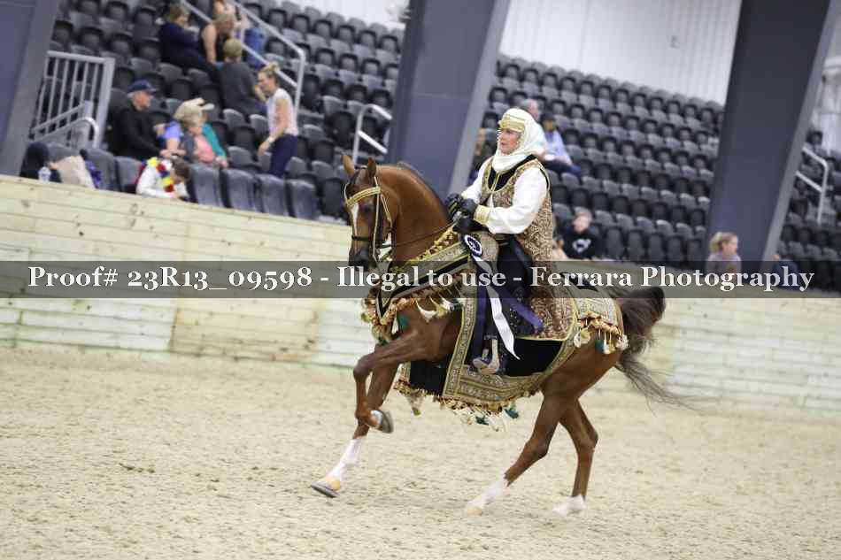 Proof 23R13_09598