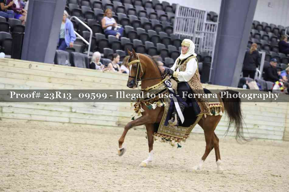 Proof 23R13_09599