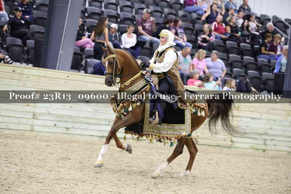 Proof 23R13_09600