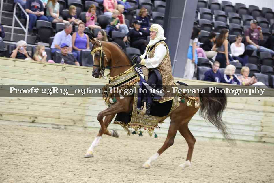 Proof 23R13_09601