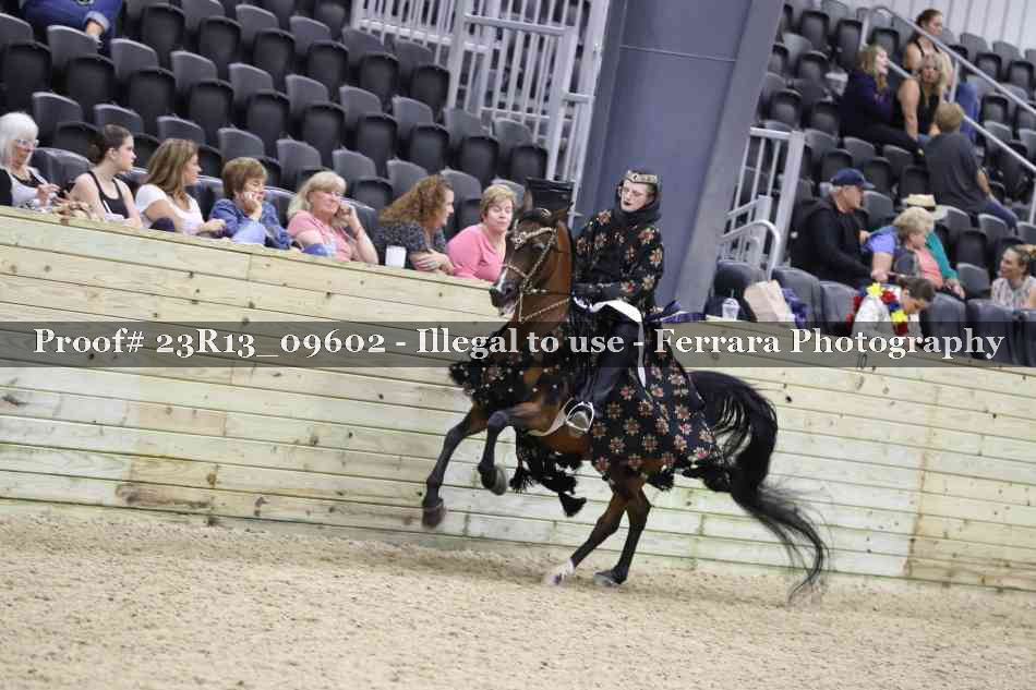 Proof 23R13_09602