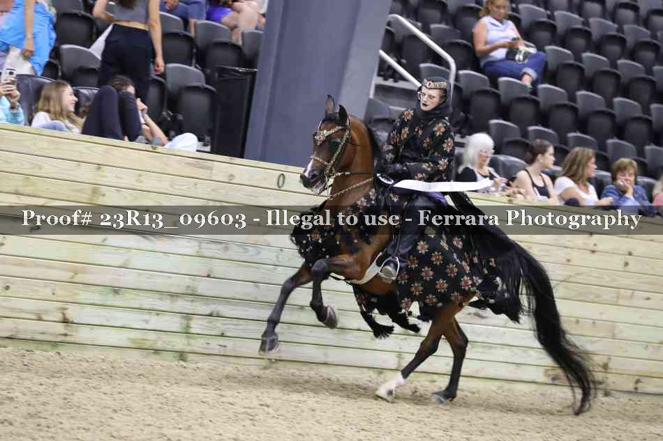 Proof 23R13_09603