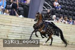 23R13_09603 proof