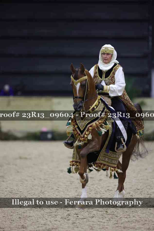 Proof 23R13_09604