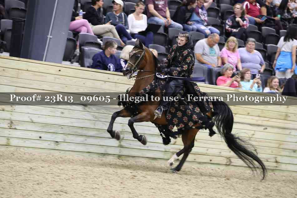 Proof 23R13_09605