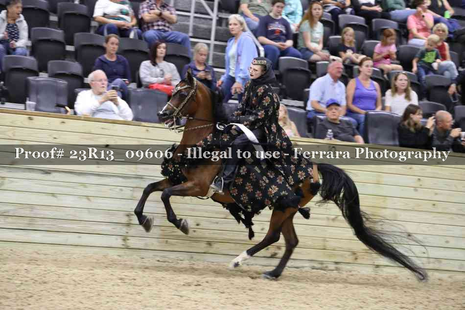 Proof 23R13_09606