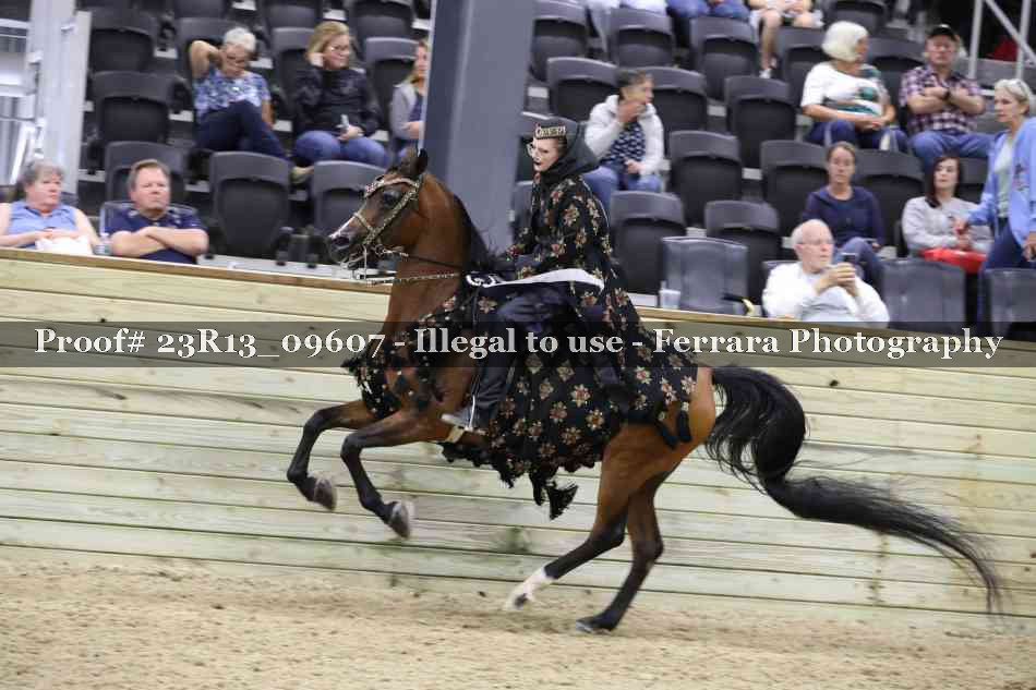 Proof 23R13_09607