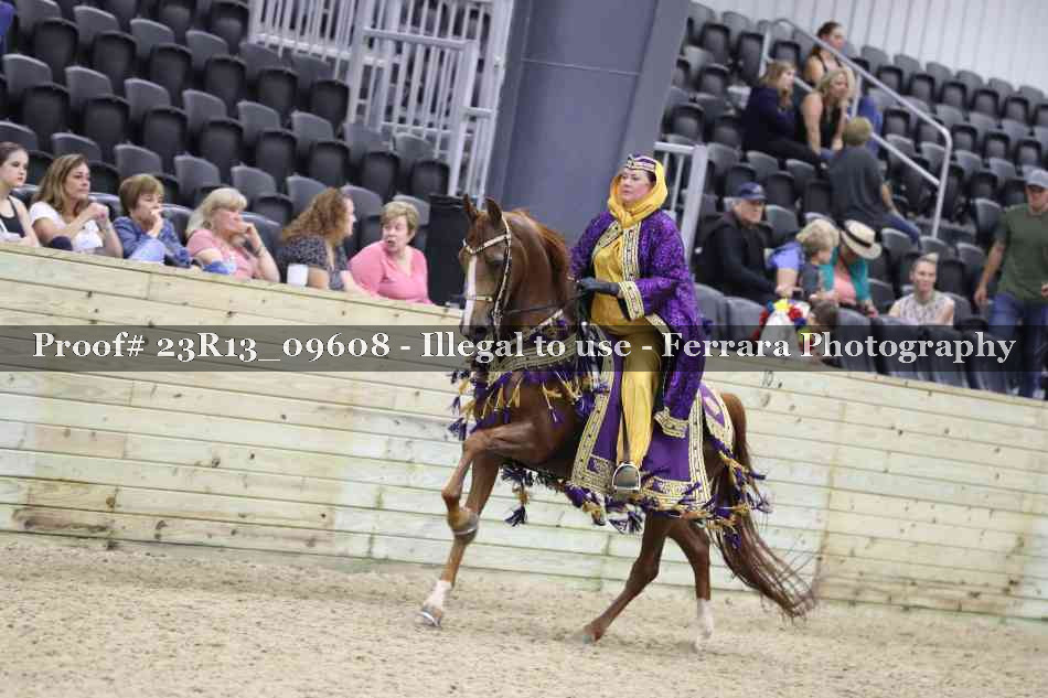 Proof 23R13_09608