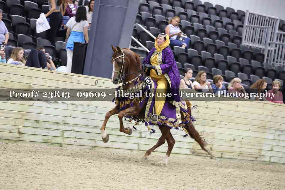 Proof 23R13_09609