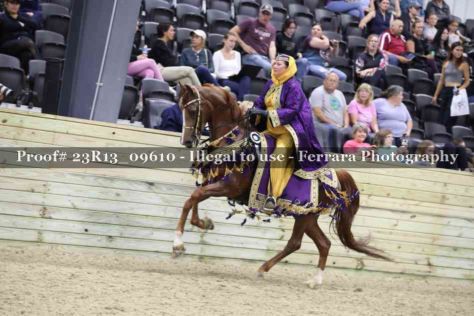 Proof 23R13_09610