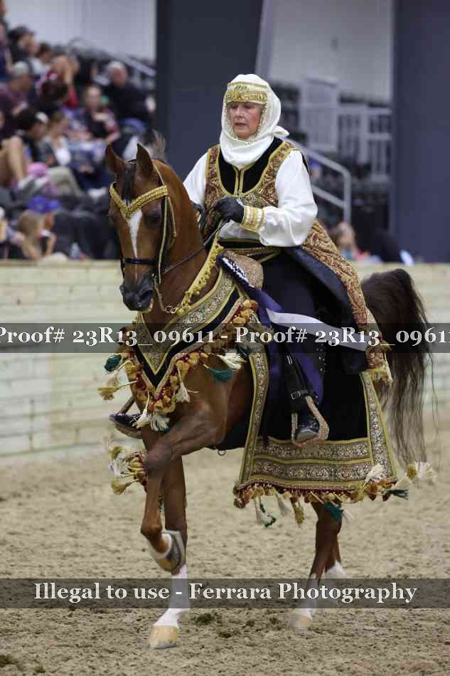 Proof 23R13_09611