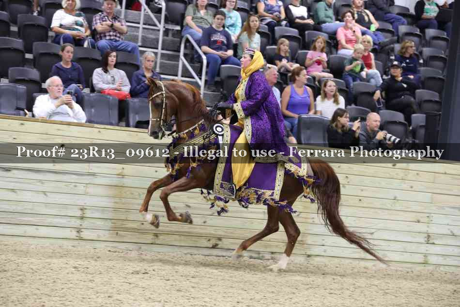 Proof 23R13_09612
