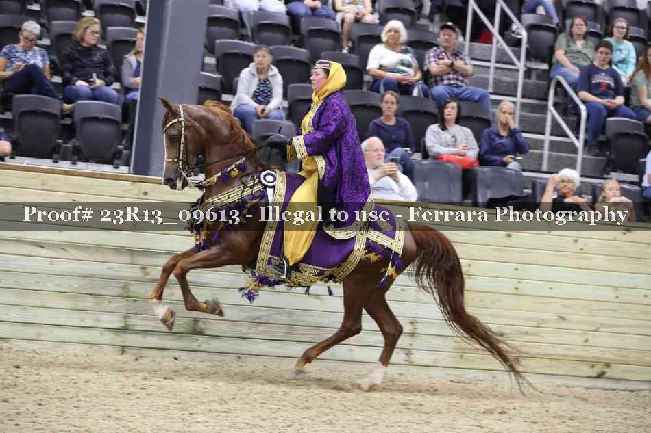 Proof 23R13_09613