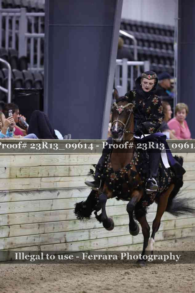 Proof 23R13_09614