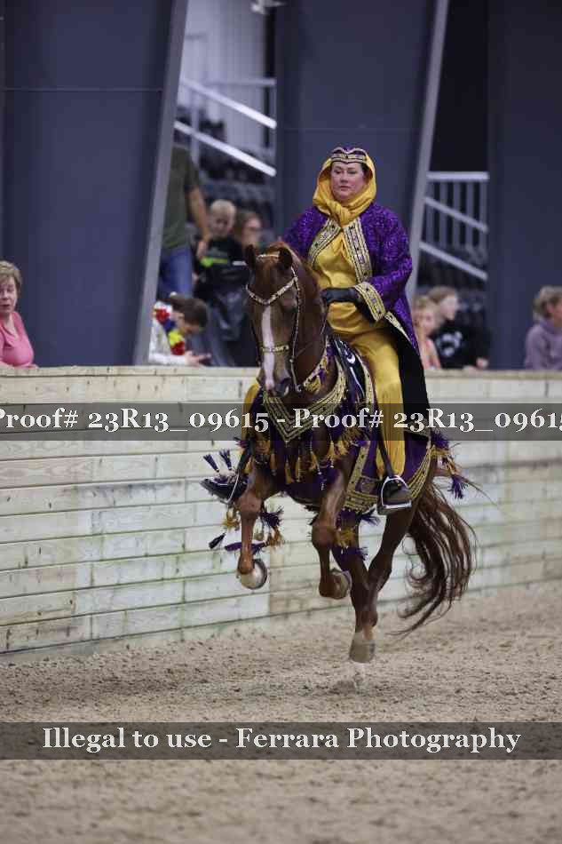Proof 23R13_09615