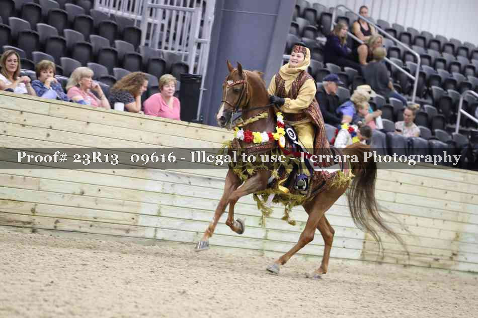 Proof 23R13_09616