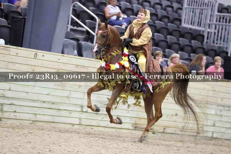 Proof 23R13_09617