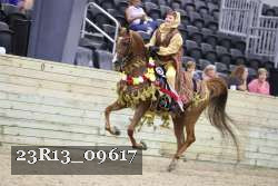 23R13_09617 proof