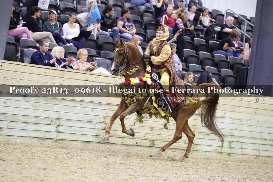 Proof 23R13_09618