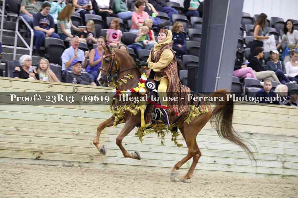 Proof 23R13_09619