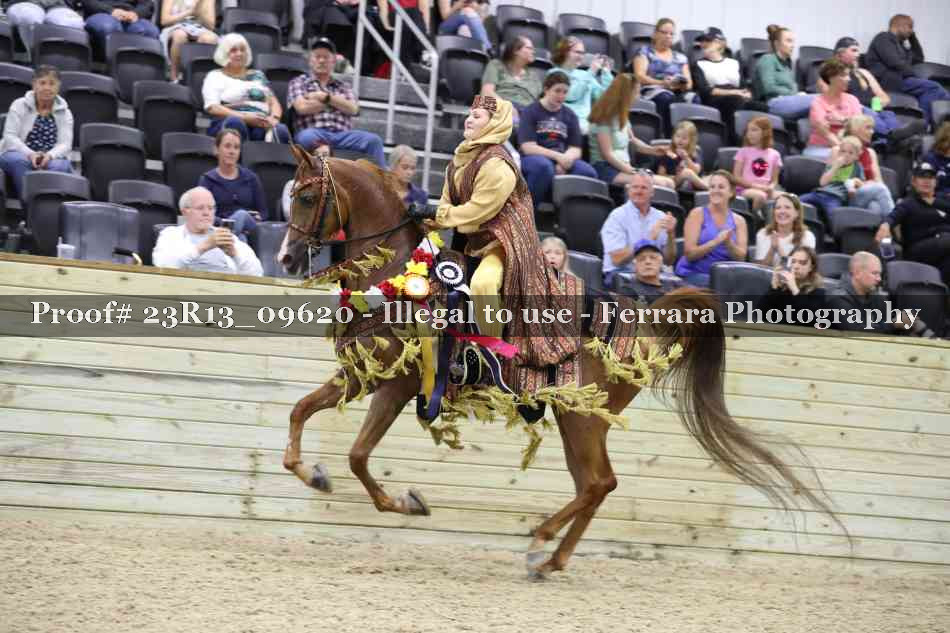 Proof 23R13_09620