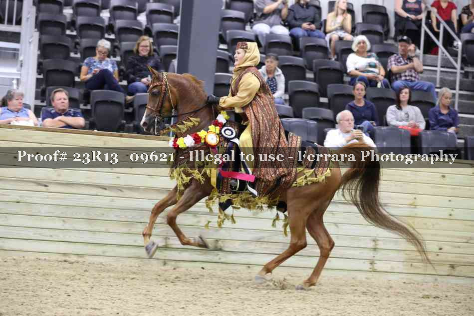 Proof 23R13_09621