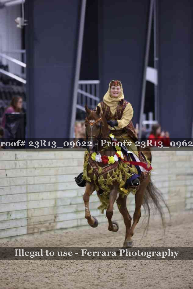 Proof 23R13_09622