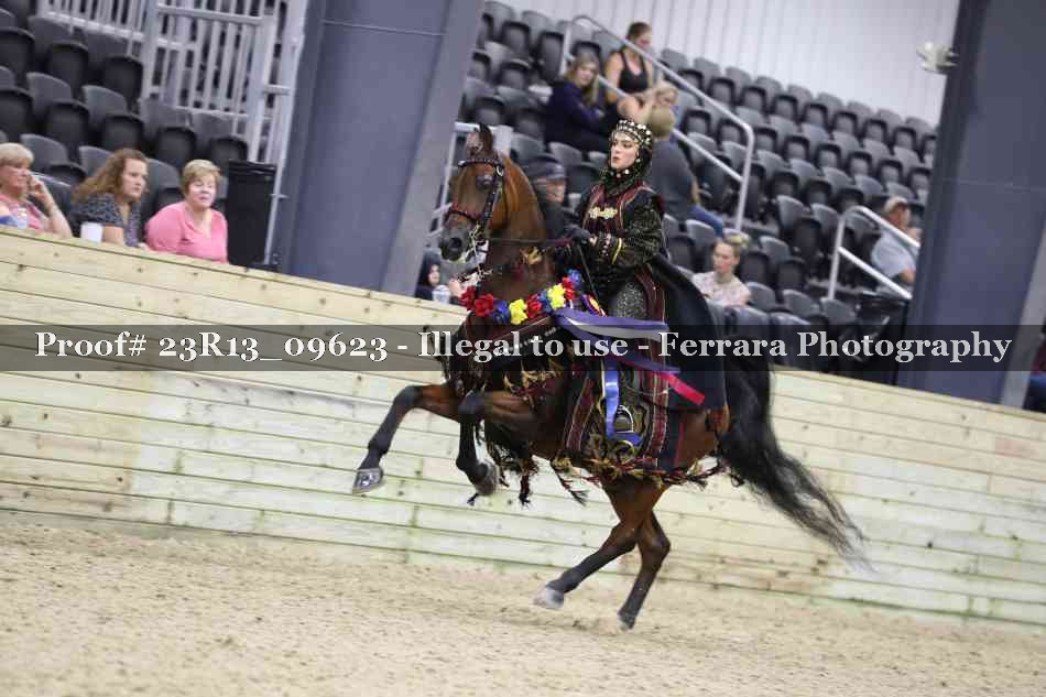 Proof 23R13_09623