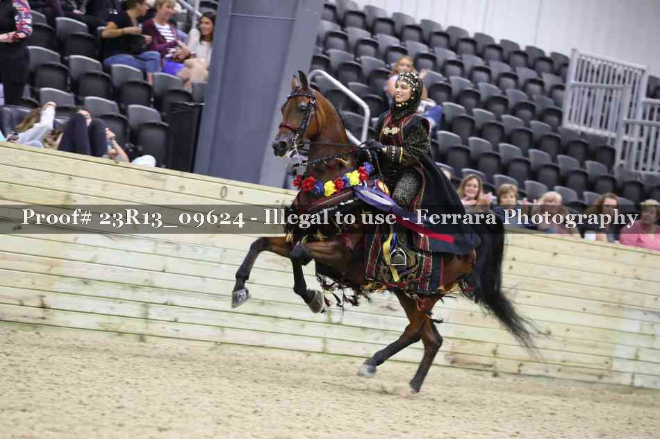 Proof 23R13_09624