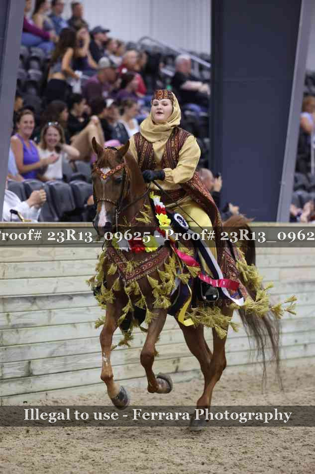 Proof 23R13_09625