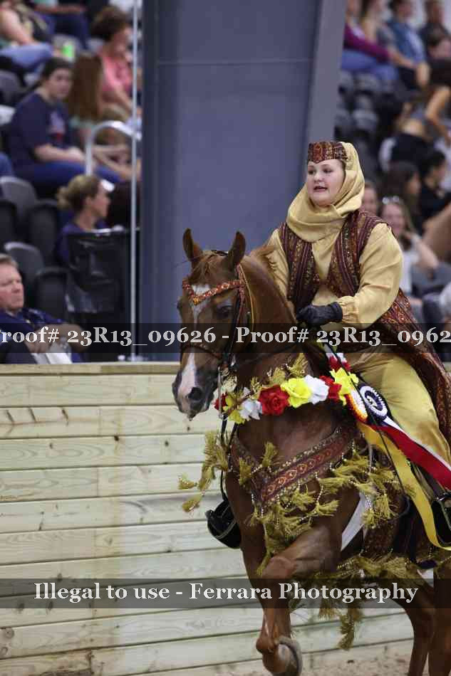 Proof 23R13_09626