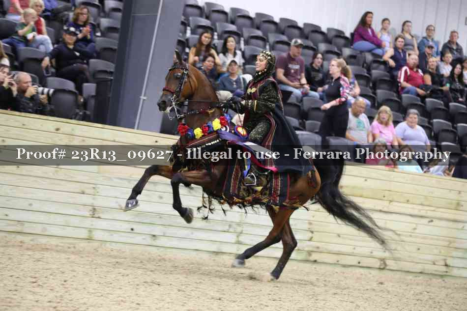 Proof 23R13_09627
