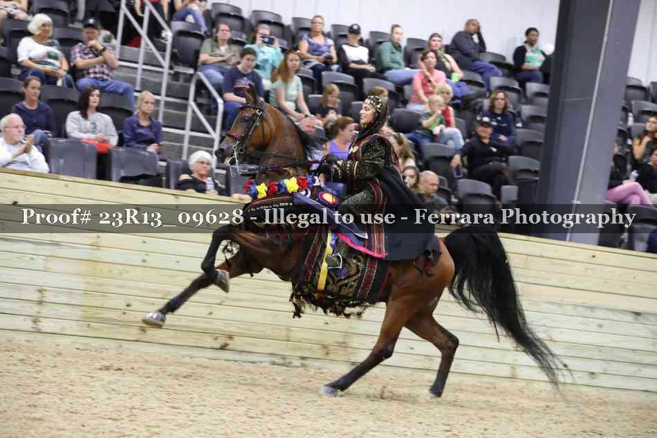 Proof 23R13_09628