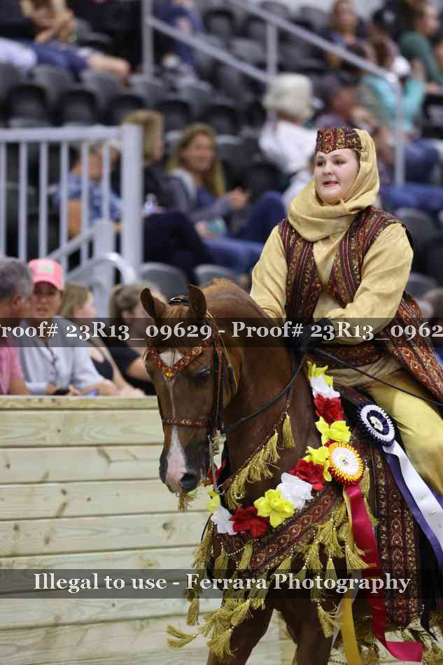 Proof 23R13_09629