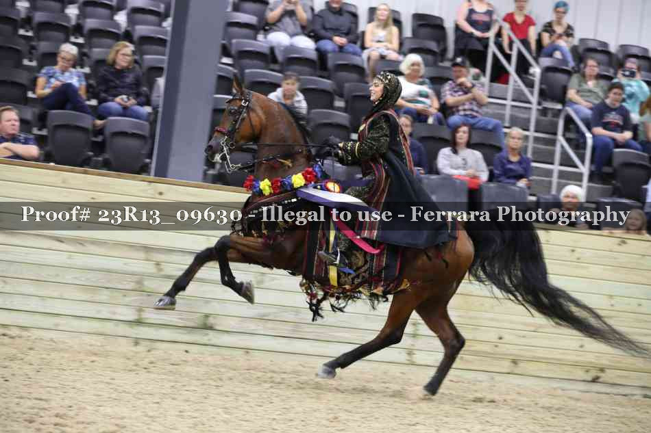Proof 23R13_09630