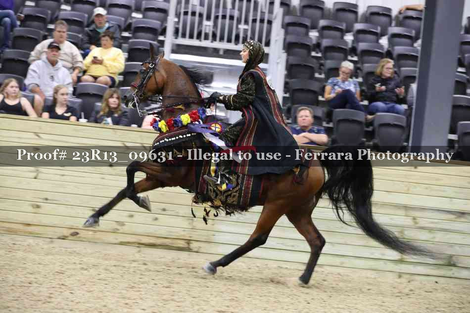 Proof 23R13_09631