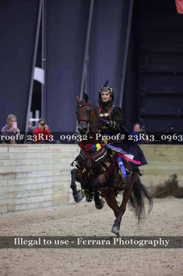Proof 23R13_09632