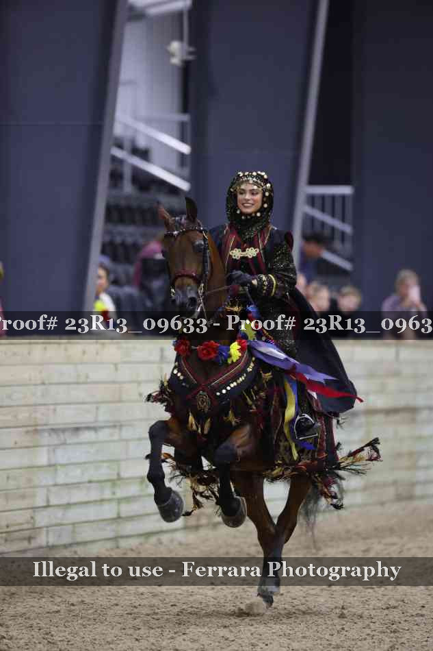 Proof 23R13_09633