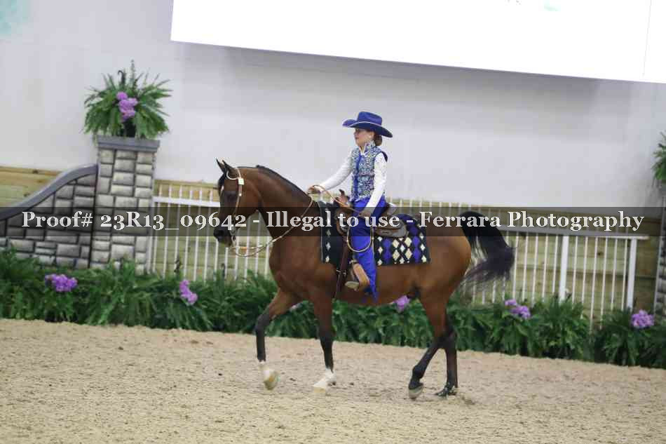 Proof 23R13_09642