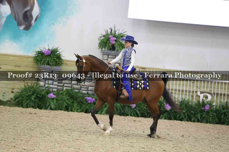 Proof 23R13_09643