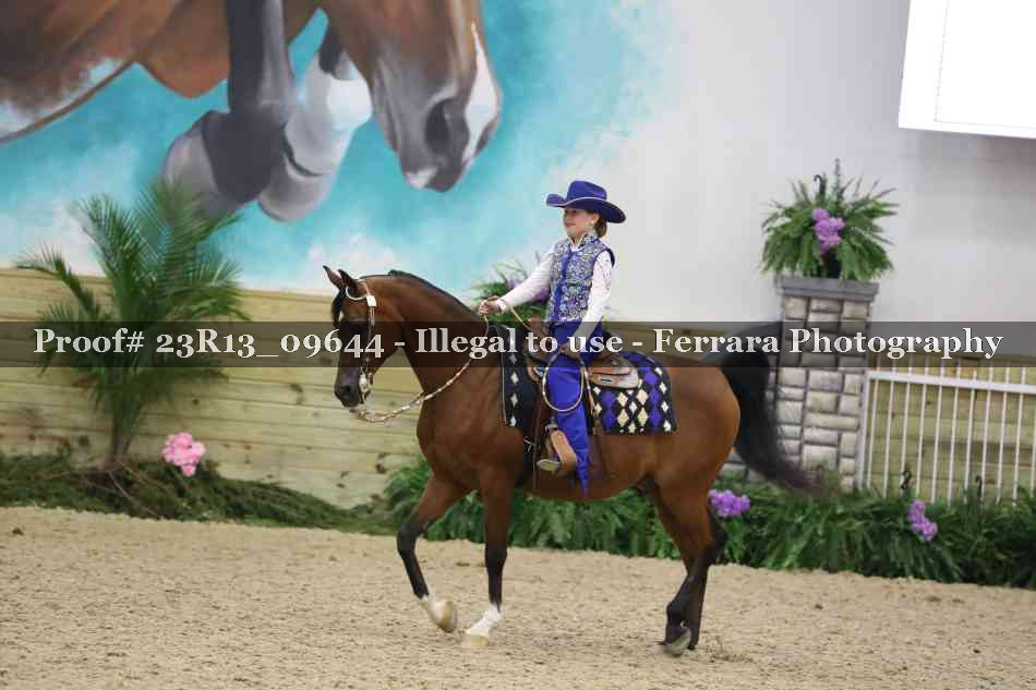 Proof 23R13_09644