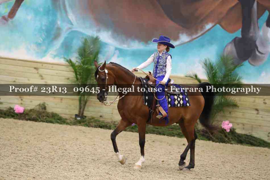 Proof 23R13_09645