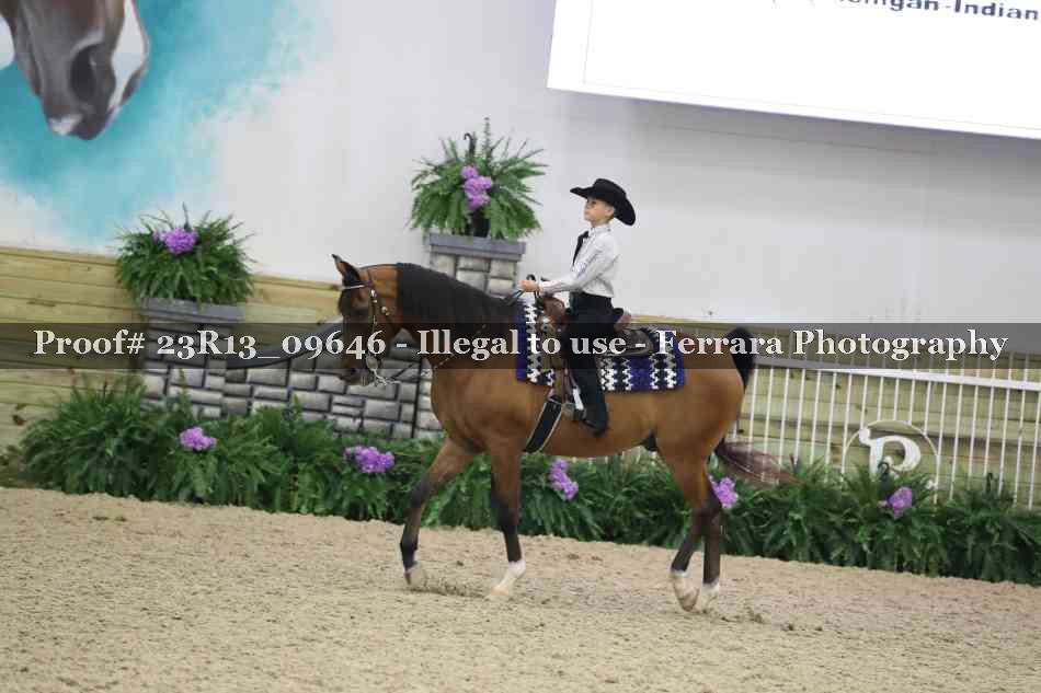 Proof 23R13_09646